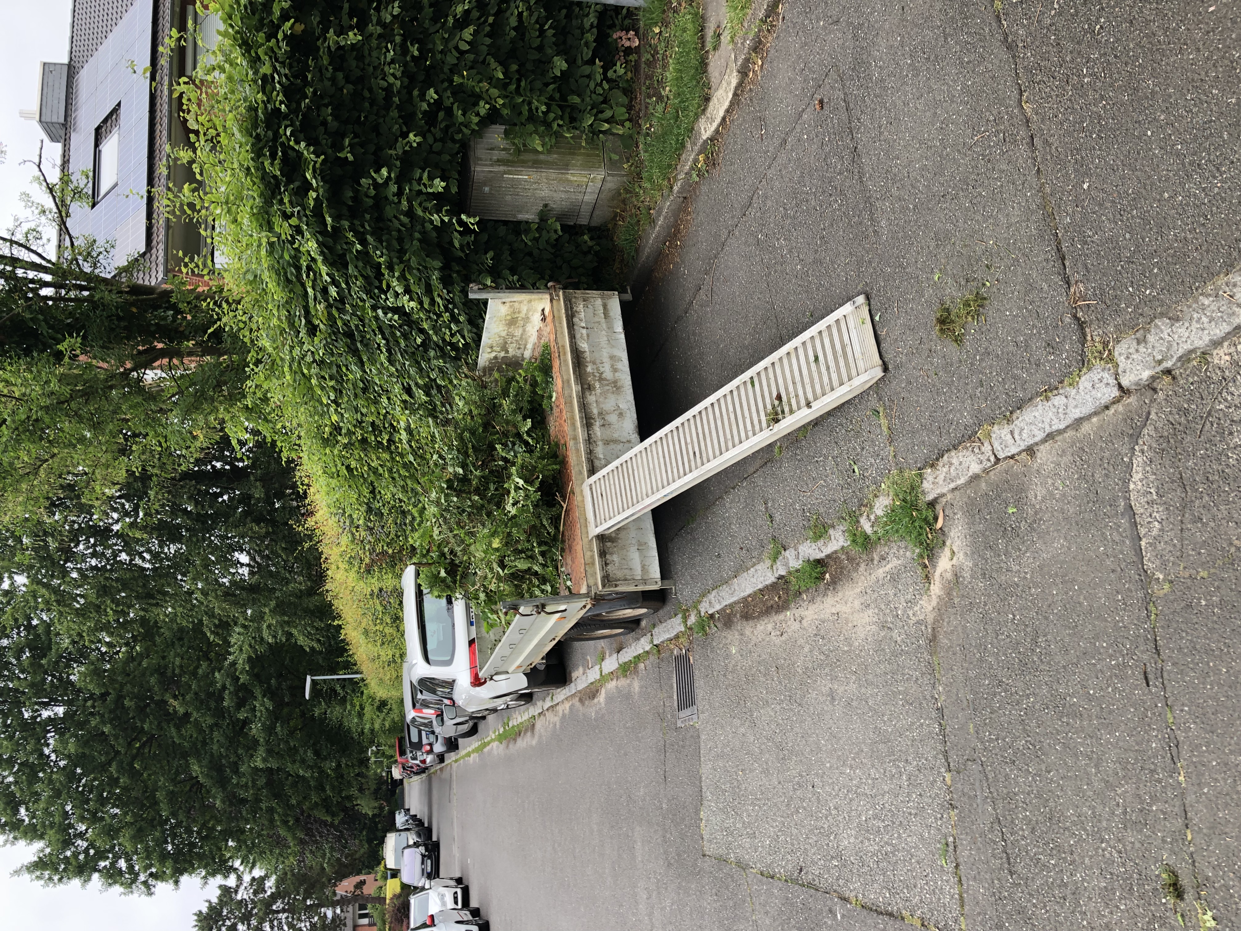 Schnittgut entsorgen